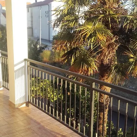 Appartement Palm Tree